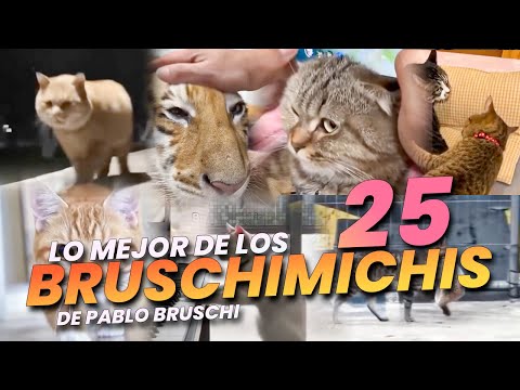 LO MEJOR DE LOS BRUSCHIMICHIS 25 - PABLO BRUSCHI