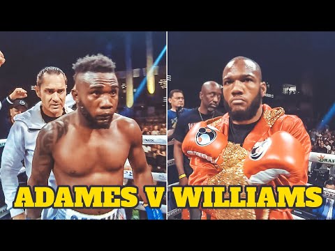 🔥 Carlos Adames (Dominican Republic) vs Julian Williams (USA) | Full Fight Highlights, Knockout, HD