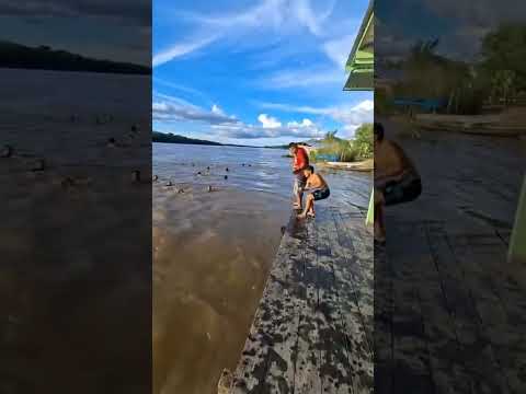 Bora pular na água, é só diversão em Anamã. #amazonas #brasil #norte
