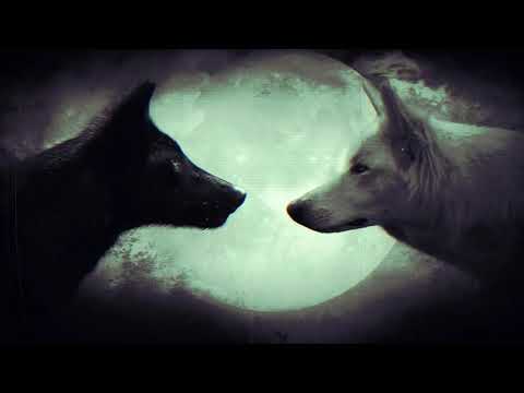 Freaky Djs x SheffeR x Do Yeezy - Go the Moon (NeWToNE MusiC)