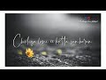 Telugu Whatsapp Status Telugu Love Songs Telugu Whatsapp Status Videos Arya Movie Song Yedo Priya