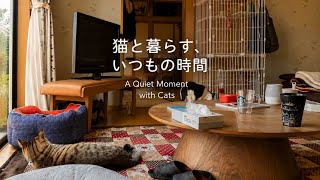 ホテルの朝と猫と犬のいる暮らし