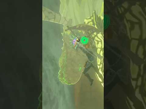 shard of farosh’s #dragon claw🐉floria falls w fav shock boi for new years💙#botw