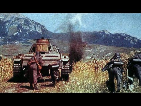 The Caucasus`s Campaign RARE WW2 combat footage