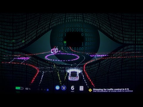 The human inside Tesla's FSD BETA