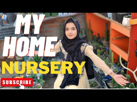 Rumaisa ki Desert Rose ki Nursery ka Visit