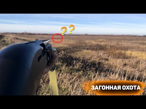 ✅ОХОТА НА ЛИС. Открытие сезона 2019-2020. МР-155
