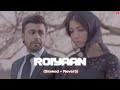 Roiyaan - Farhan Saeed | lofi remix | slowed × reverb | sad song | tizzy lofi