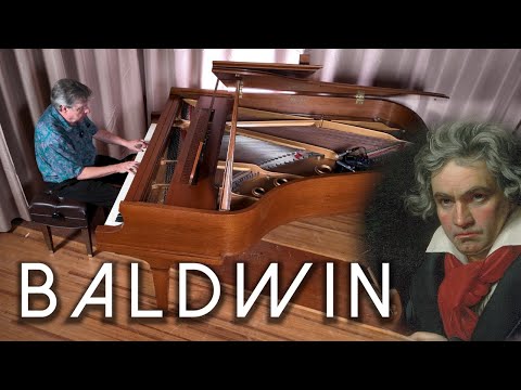 Baldwin L 1971 - Walnut satin 194141 image 16