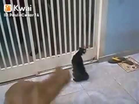 19 de novembro de 2021