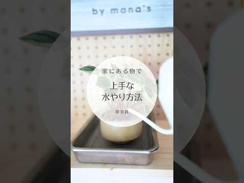 2022年のクレーボールを選ぶ