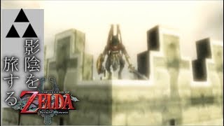 【影陰を旅する】ゼルダの伝説トワイライトプリンセス　パート57
