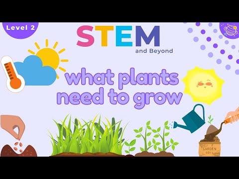 YouTube video about: What plants need to grow poster?