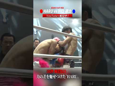 58秒 瞬殺KO力の差を魅せつけた〝HARU〟#KRS7 #REBELS #格闘技