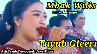 Download lagu Tayub Trenggalek Mbak Wilis Enak Di Dengar Sampai Akhir Bass Glerr  mp3
