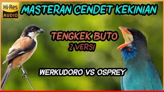 Download lagu 🔴 MASTERAN CENDET TENGKEK BUTO 2 VERSI [Werkudoro vs Osprey] mp3