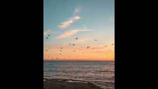 Barely Out Of Tuesday (Wiltern Live) - Counting Crows