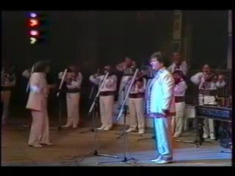 Nicolae Sulac  Colaj de Melodii Populare