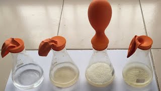 Alcohol Fermentation Process by Yeast | Alcohol Fermentation Process by Yeast | Alcohol Production