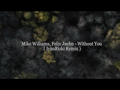 Mike Williams, Felix Jaehn - Without You ( Iyan Rizki Remix )