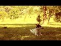 Boom Boom Kid - Because 