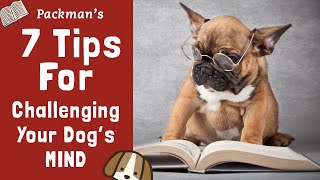 7 Tips To SOLVE Most Dog Behavior Issues | How To Drain Your Dog
