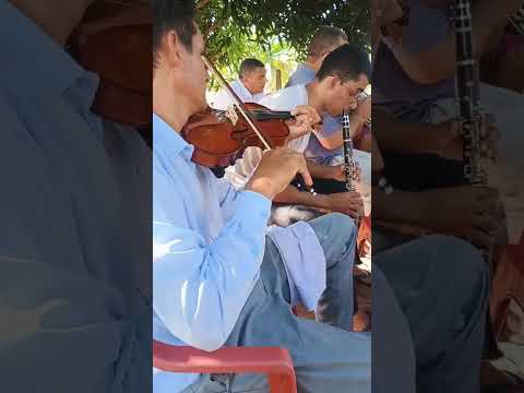 Tocata CCB theobroma Rondônia #ccb #ccbhinos #shorts