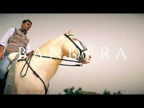 Andy Cartagena   'El poder de la verdad'