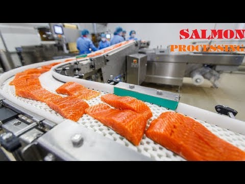 download lagu mp3 mp4 Salmon Packaging, download lagu Salmon Packaging gratis, unduh video klip Salmon Packaging