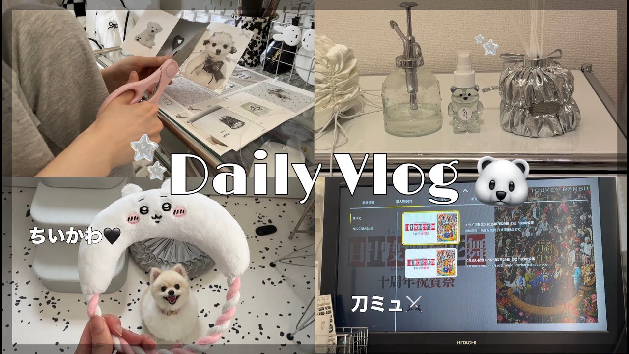 【vlog】犬うさぎと暮らすアラサーオタクのdaily vlog🐻‍❄️🐰推しのために有給とった日⚔🤍【一人暮らし】