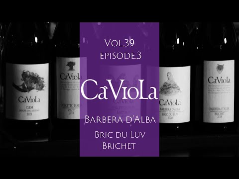 Vol.39ep.3 “Comparação de degustação de vinhos Caviola/italiano”