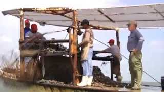 Chris Macaluso, Oyster Reefs - Louisiana Sportsman TV