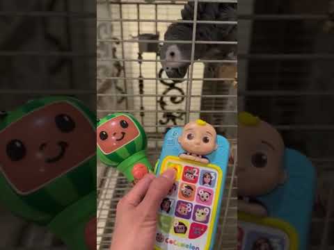 YouTube Thumbnail