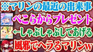 ぺこらがプレゼントしてくれたシャンプーを買った話+わためとこよりとういでしゃぶしゃぶに行った話+風邪を引きまくってヘラるマリン【ホロライブ/宝鐘マリン/兎田ぺこら/角巻わため/博衣こより/しぐれうい】