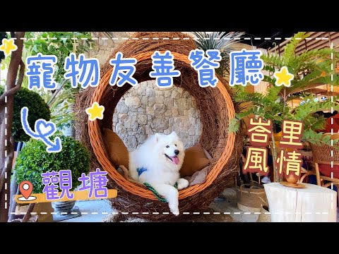 放狗好去處🐙｜觀塘寵物友善餐廳｜Be Leaf 🍃 ｜🔹西摩犬Tako ｜@big_dog_channel