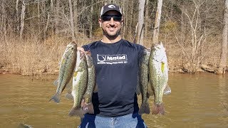 Pre-spawn Bass Fishing (Spinnerbait Loads the Boat!!!)