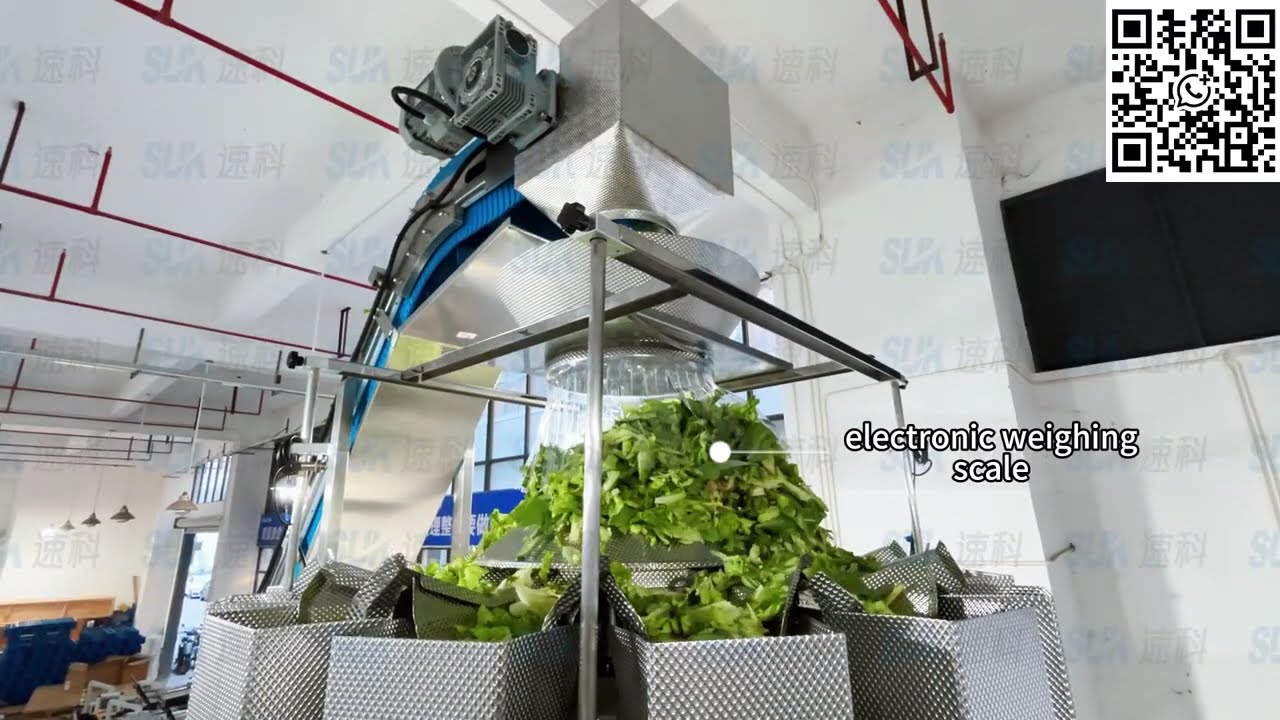 Automatic  lettuce salad vegetable packing machine