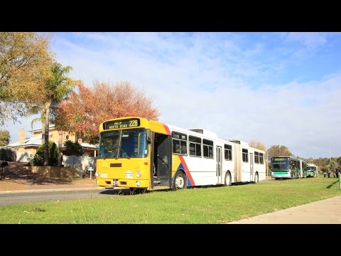 [Preserved] ex-STA Adelaide #1549 (549) - Mercedes-Benz O305G (PMCA)
