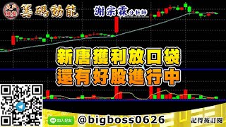 【大戶羅盤籌碼動能】 #謝宗霖1207，新唐獲利放口袋 還有好股進行中 (圖)