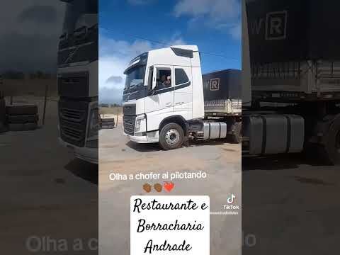 #bahia #br116 #caminhoneiros #boanova #shortvideo