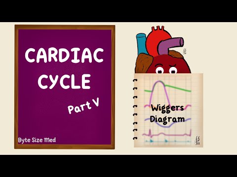 Cardiac Cycle | Wiggers Diagram | Part 5 | Summary | Cardiac Physiology