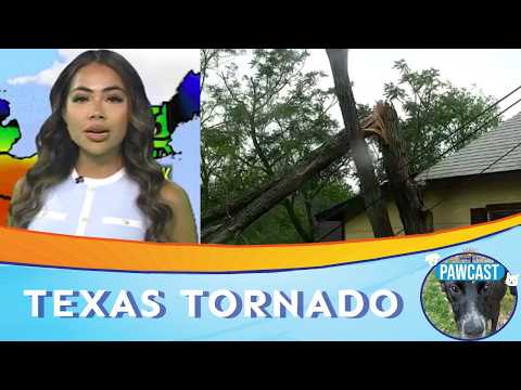 San Antonio Weather: Rainy Easter Weekend After Warm Day | PAWCAST