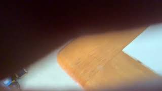 there arguing over pizza