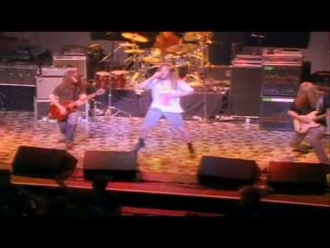 Blind Melon Letters from a porcupine DVD