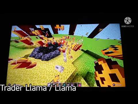All Bee Attacks In Minecraft Compilation