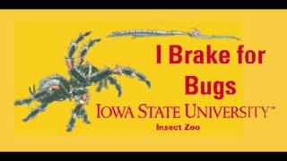 Iowa State University Insect Zoo Bug Village Crowdfunding 2016