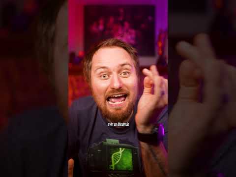 Horozlar Neden Sabah Ötüyor?