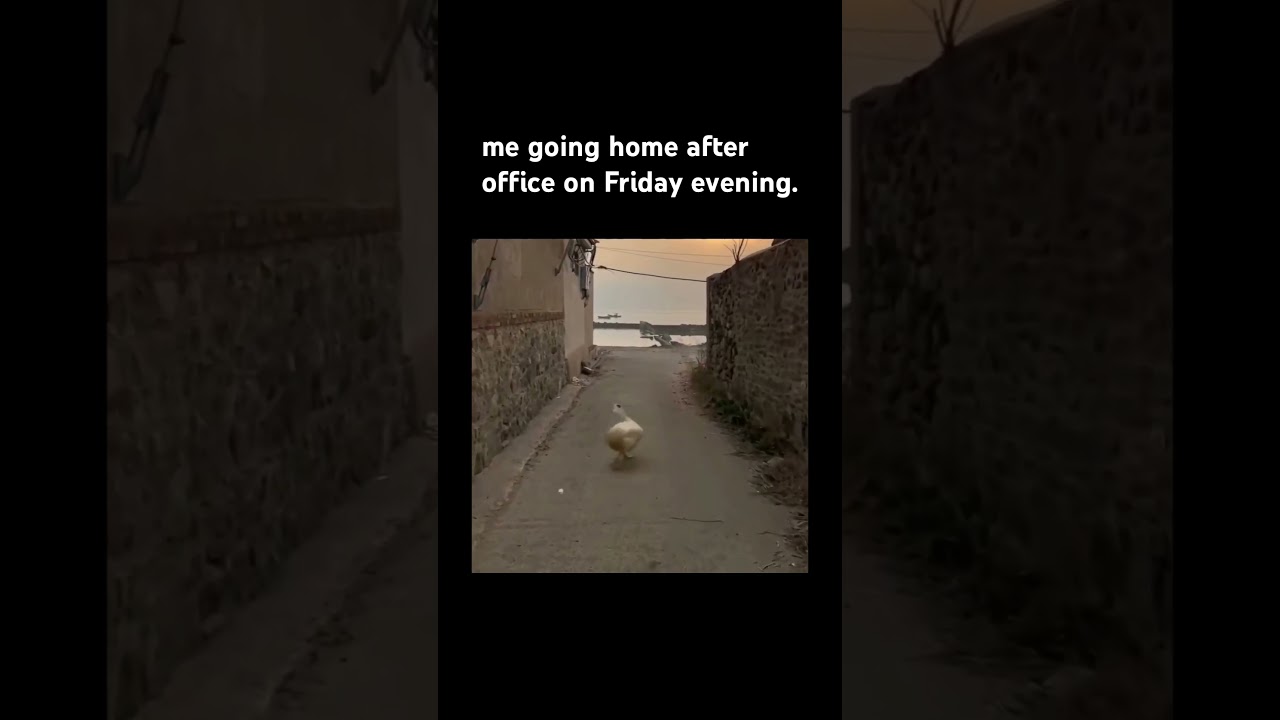 Best feeling ever 😌 Happy Weekend #office #meme #funny #relatable