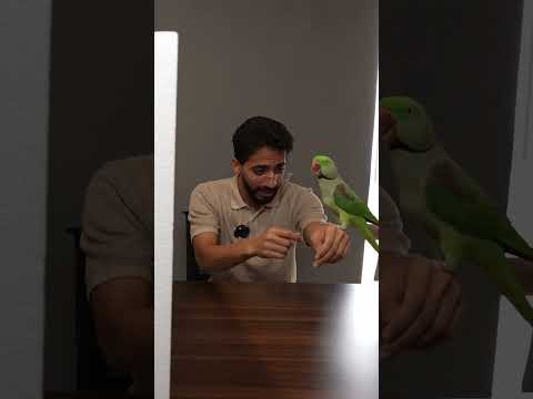 مين الكذاب؟ الحيوانات فضحتهم! 🤫😂🔥