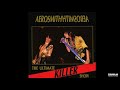 Aerosmith - Sight for Sore Eyes